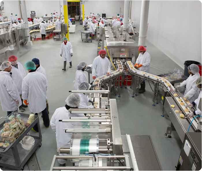 Food_production_line_1.jpg